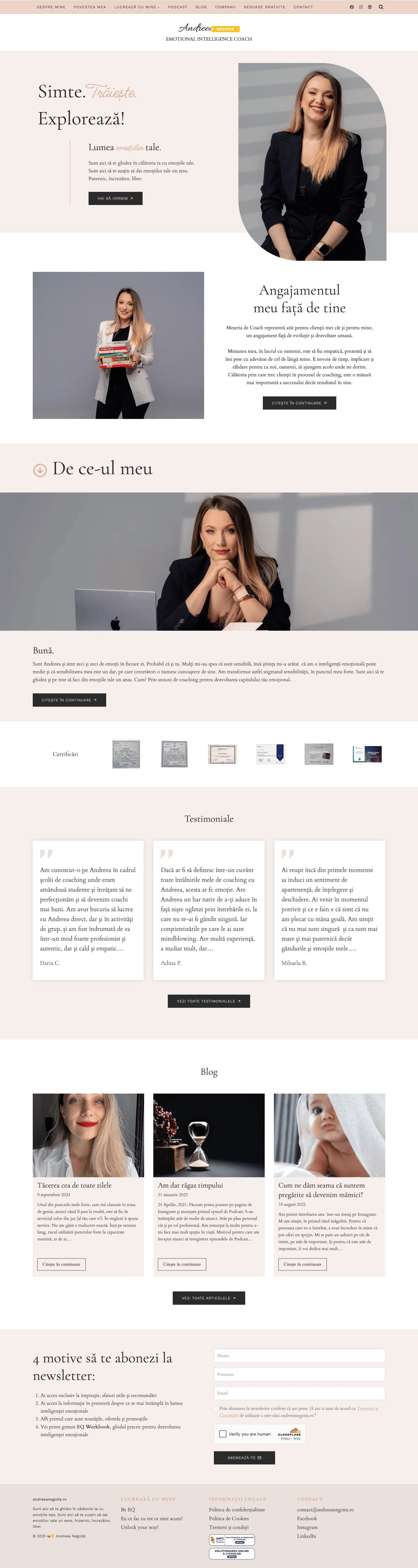 andreeanegoita-homepage.jpg
